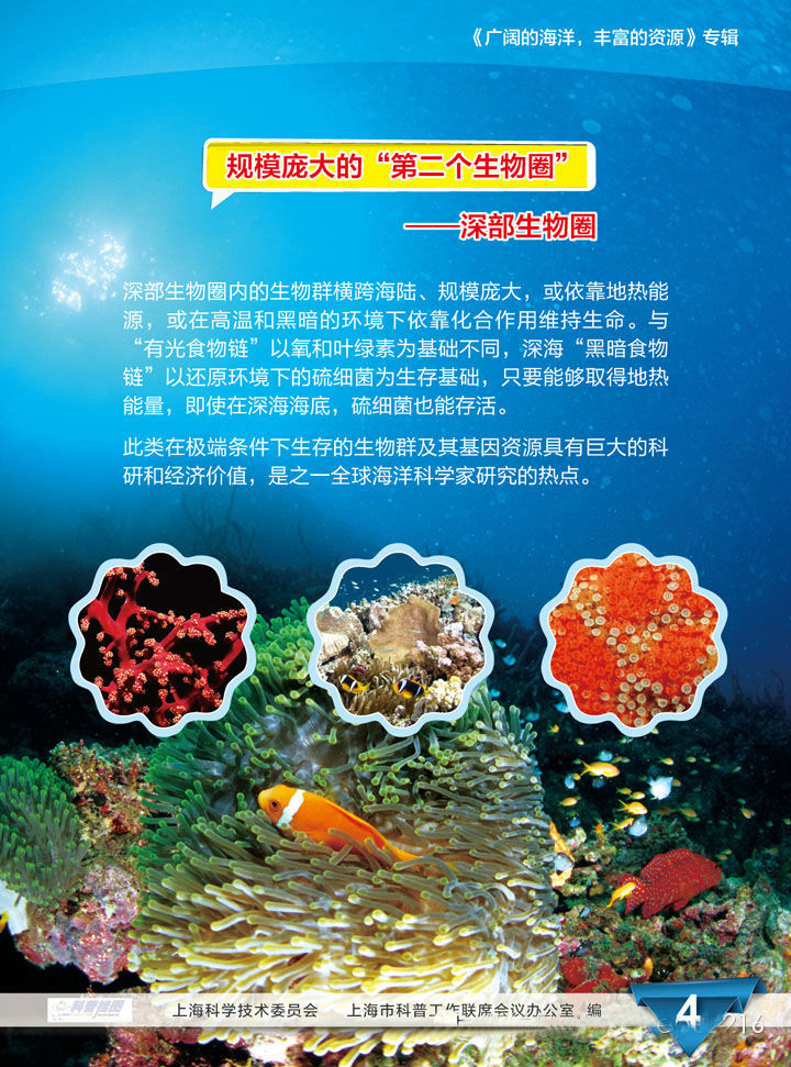 海洋专辑481 / 作者:UFO爱好者 / 帖子ID:70150